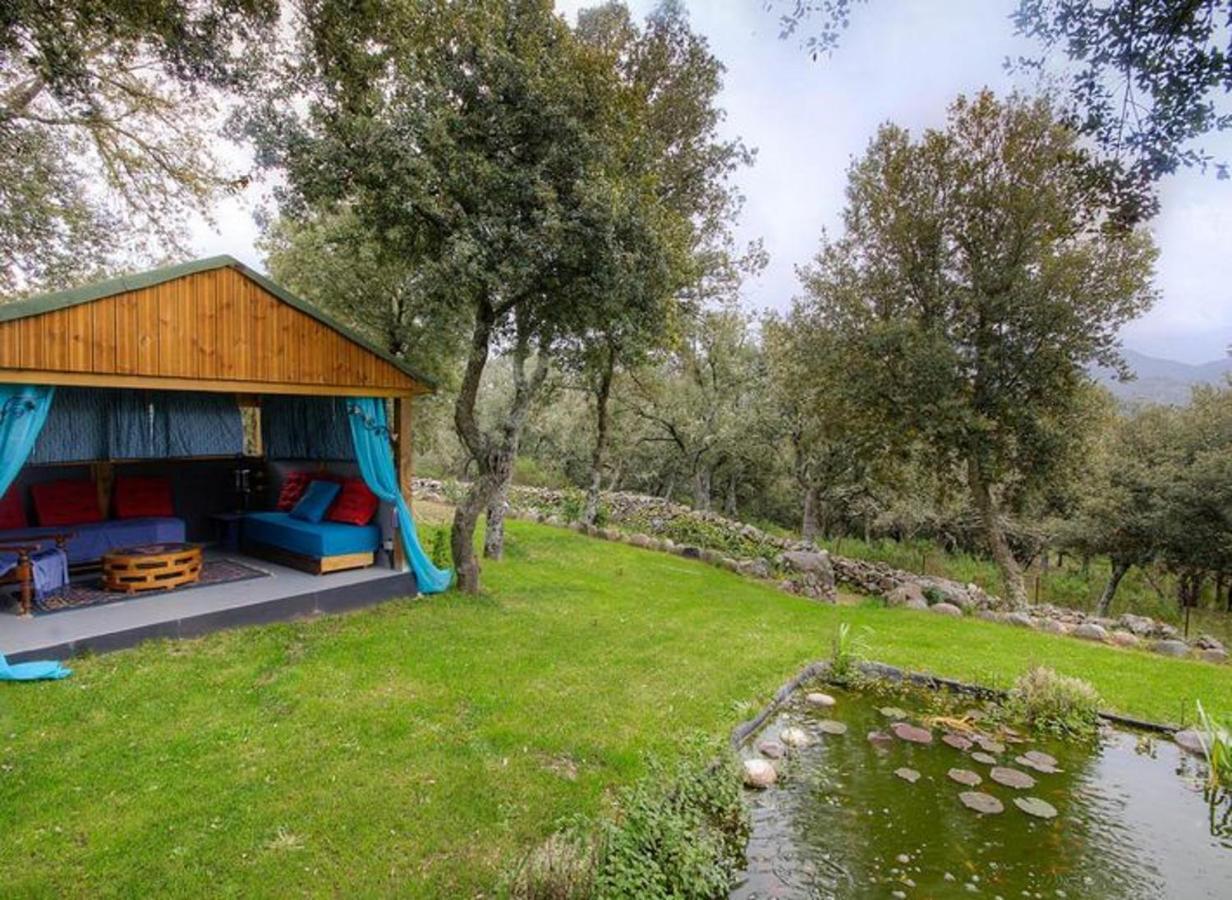 Studio avec jardin amenage et wifi a Moltifao Extérieur photo