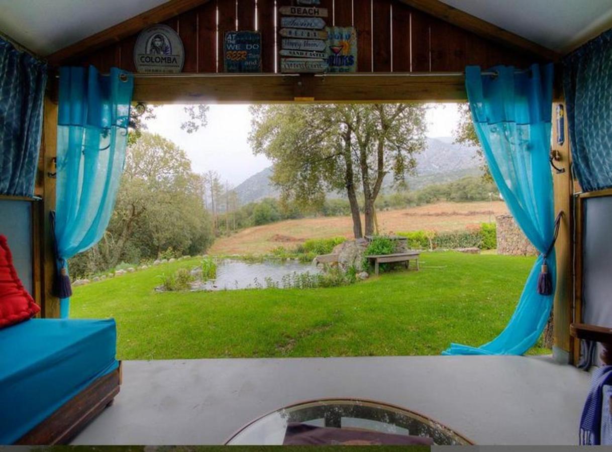 Studio avec jardin amenage et wifi a Moltifao Extérieur photo